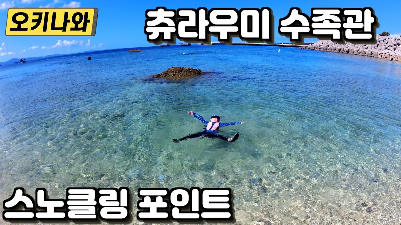 아이랑 오키나와 여행 3일차 – 스노클링 포인트 고릴라춉, 츄라우미 수족관, 해양문화관, 카진호 피자