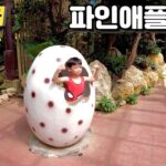 아이랑 오키나와 여행 5일차 1 – 나고 파인애플 파크
