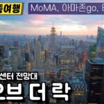[아이랑 뉴욕 여행] 뉴욕 현대 미술관 MoMA, 탑 오브 더 락, 타임즈 스퀘어, 아마존고