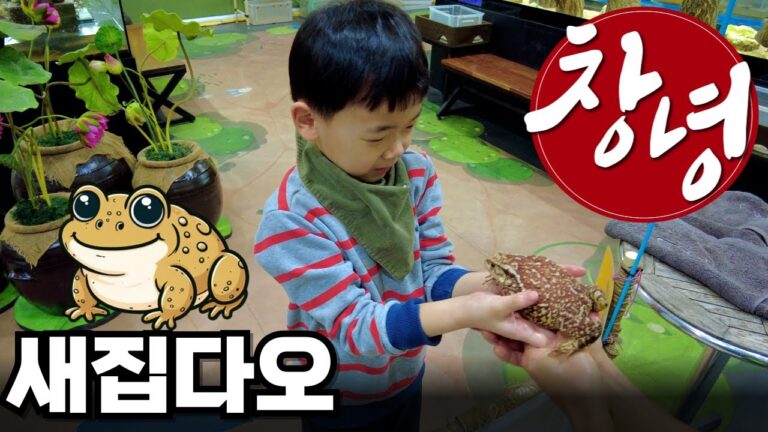 창녕 여행 E2 | 창녕 생태 곤충원