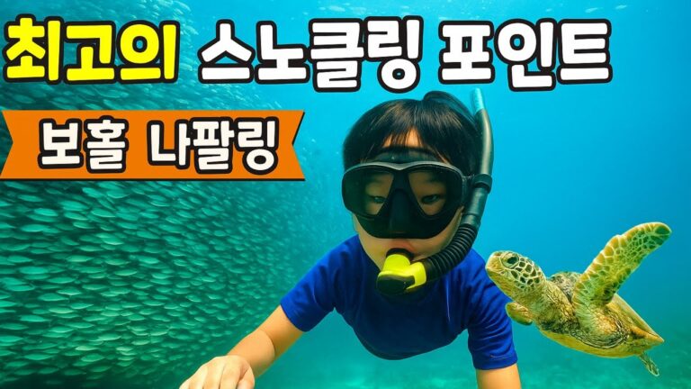 [E1] 보홀 도착 | 나팔링, Panglao Kalikasan Dive Resort